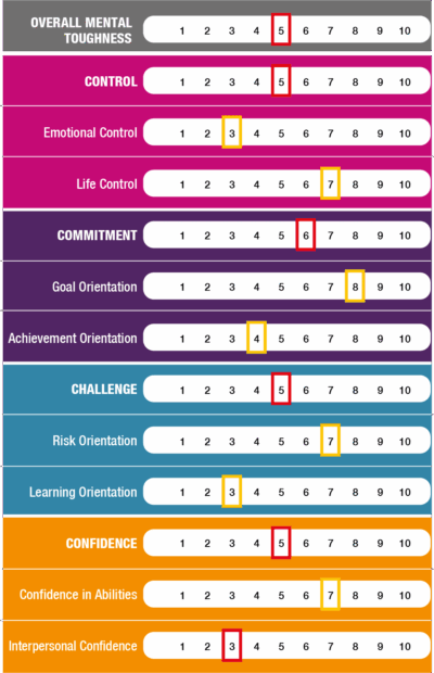 MTQPlus psychometric measure.