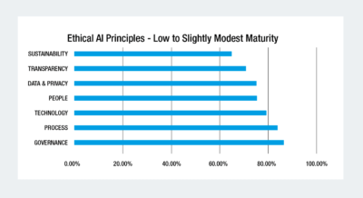 Figure 2: Bar graph summary for the seven ethical AI principles