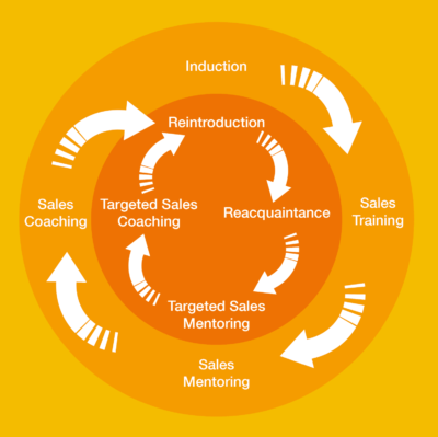 Figure 1: Training, Mentoring and Coaching cycle.